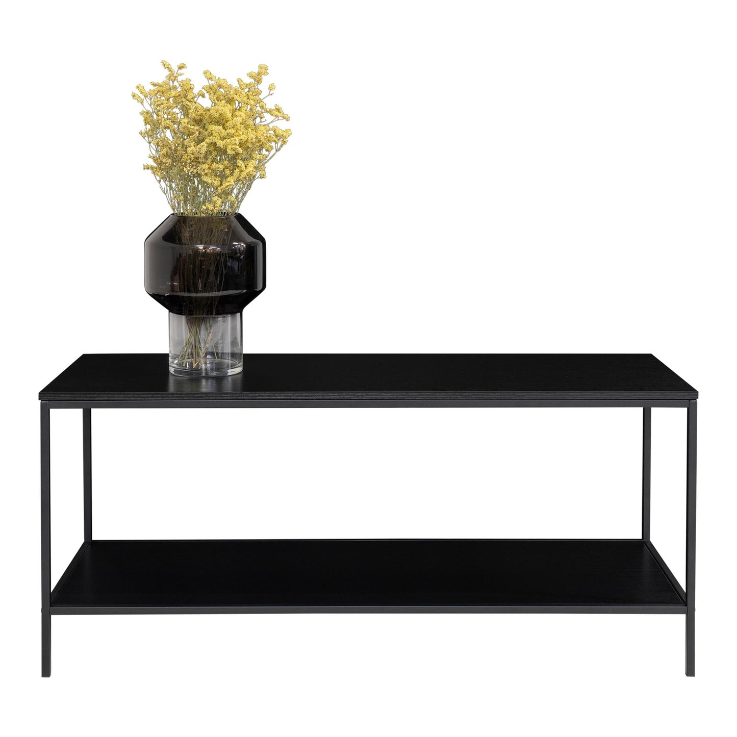 Vita Tv-Bænk - Tv Bænk, 2 Hylder, Sort, Sort Stel 100X36X45 Cm ⎮ 5713917005611 ⎮ 2501030