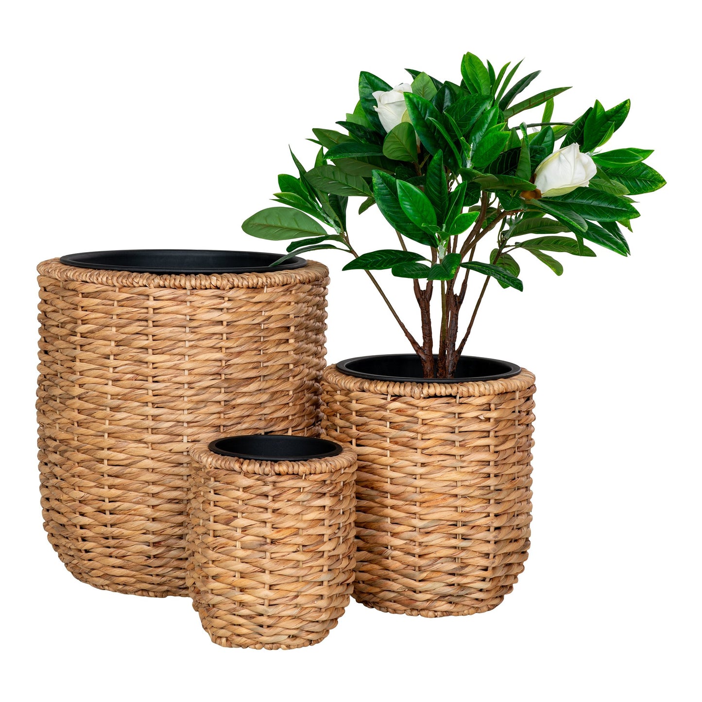 Hanoi Planteskjuler - Planteskjuler, Vandhyacint, Natur Sæt Af 3 ⎮ 5713917028481 ⎮ 4401012