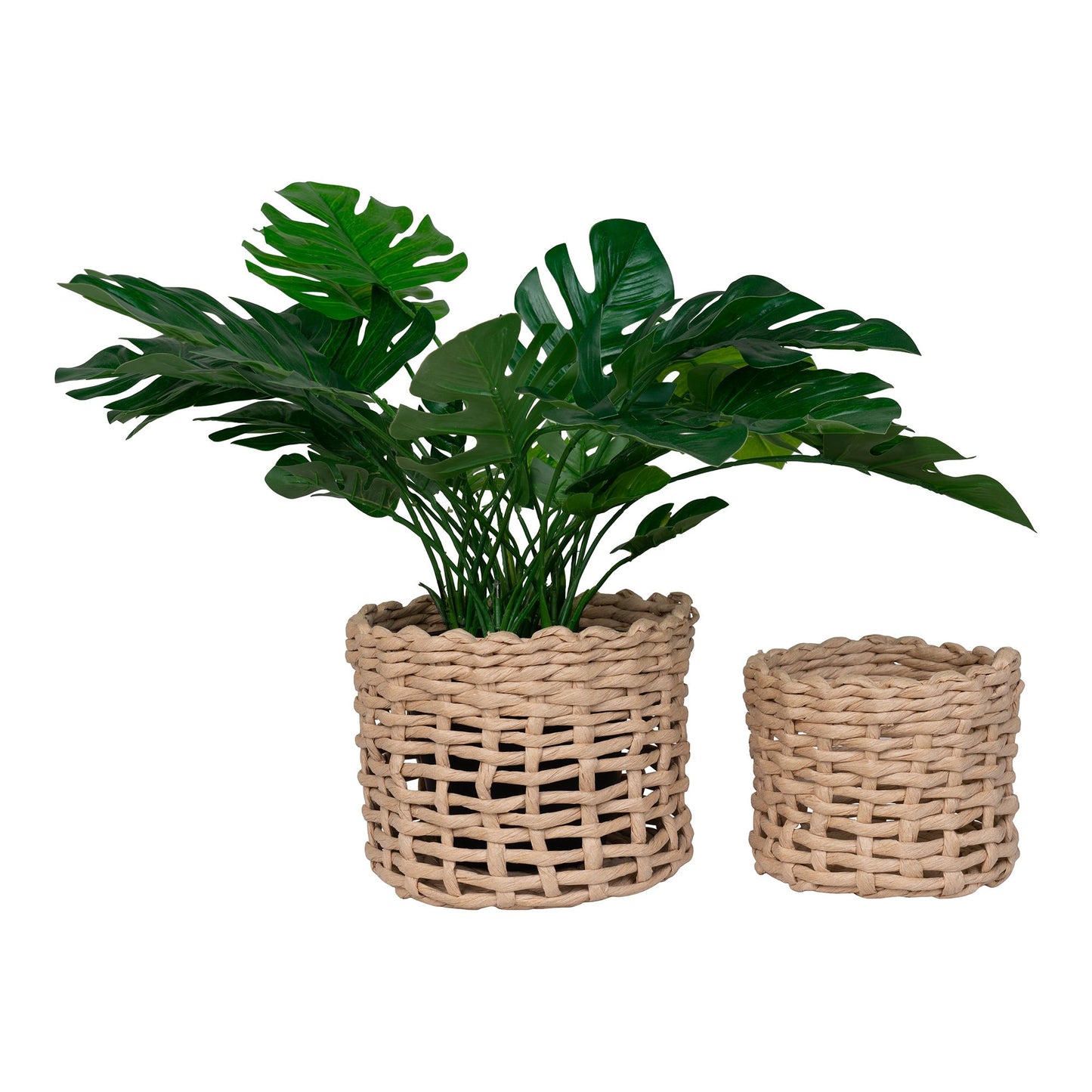 Penela Kurve - Kurve, Papir, Natural, Sæt Af 2 ⎮ 5713917027040 ⎮ 4401549