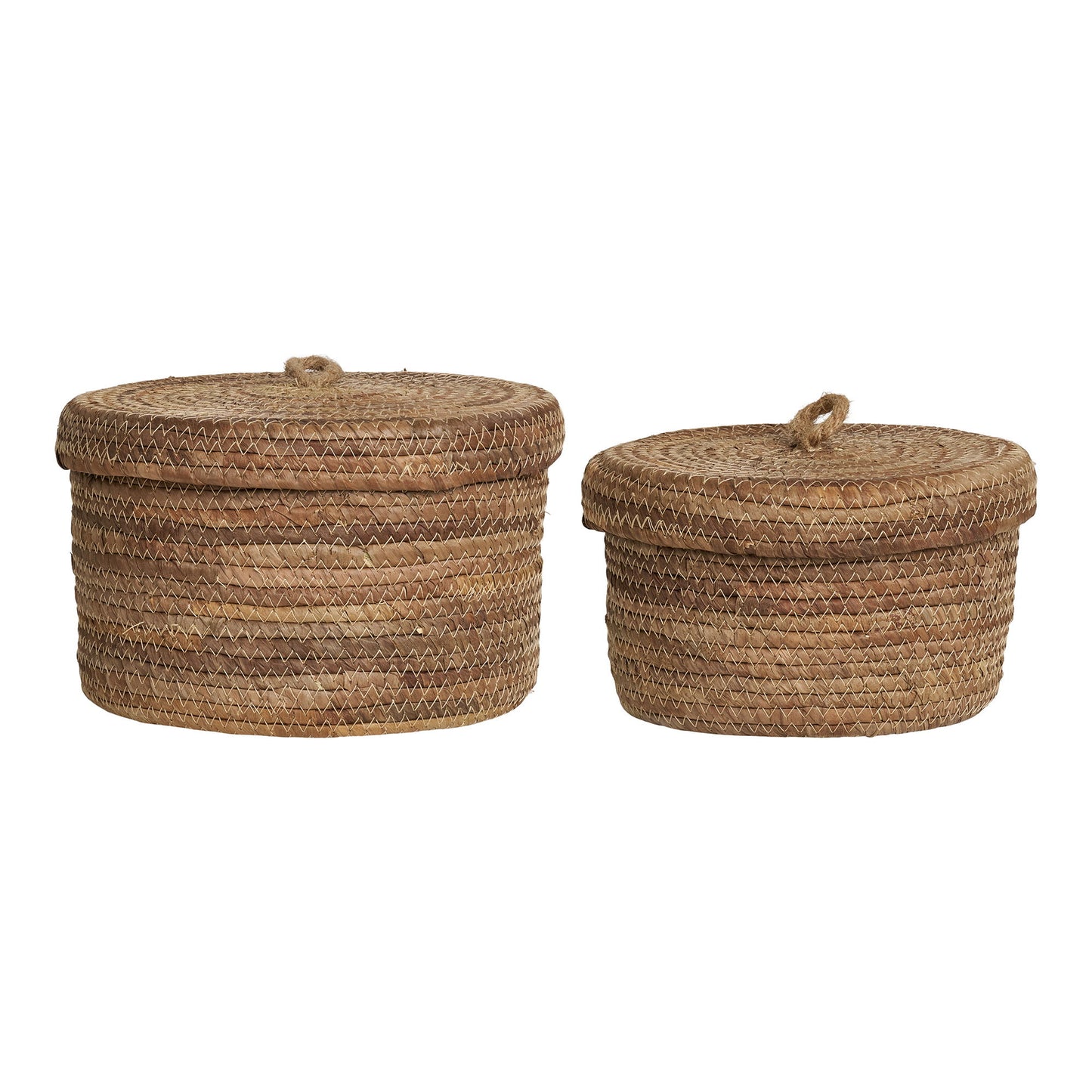 Desio Kurve - Kurve, Bananflet, Natur, Sæt Af 2 ⎮ 5713917032693 ⎮ 4401563