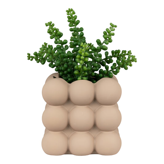 https://cdn.shopify.com/s/files/1/0672/7680/0322/files/No-Image-Placeholder.png?v=1669444344