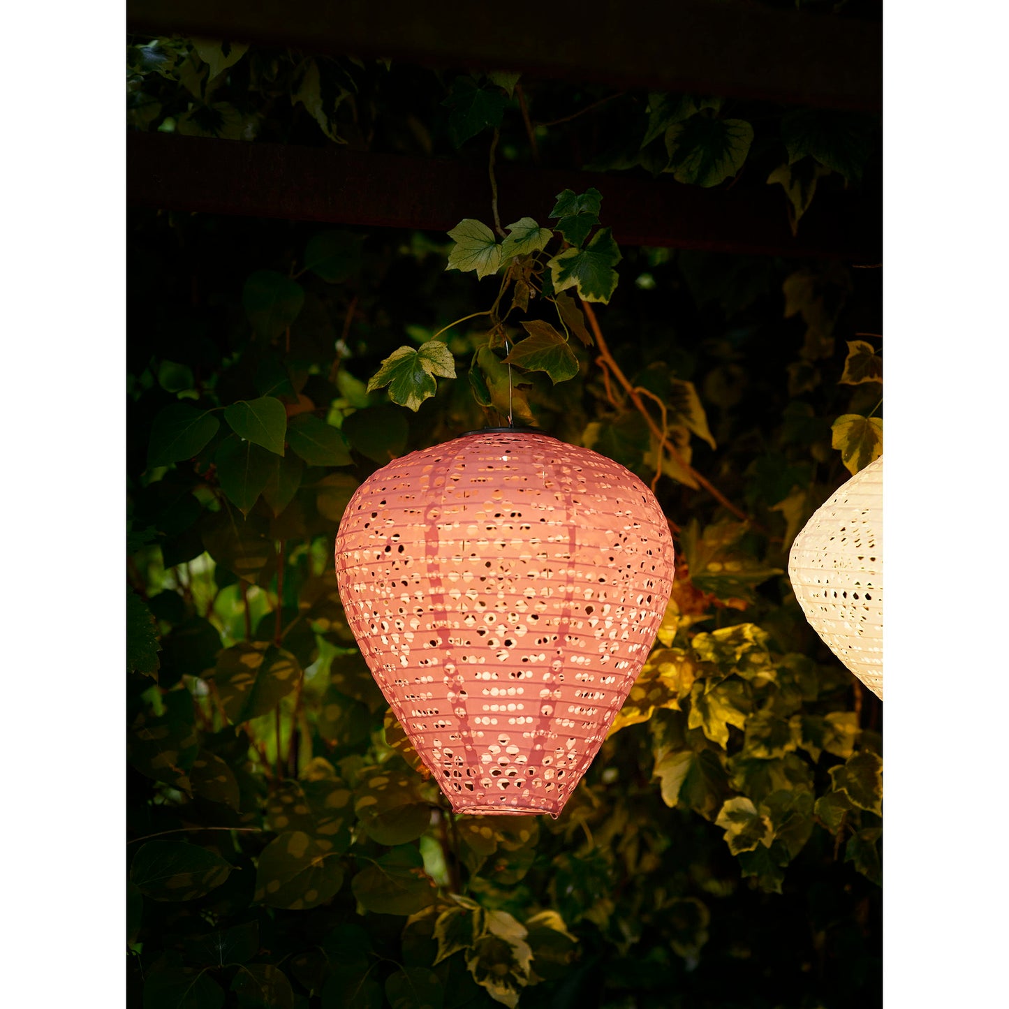Greatham Led Lanterne - Lanterne, Genopladelig, Rose ⎮ 5713917035311 ⎮ 6405111