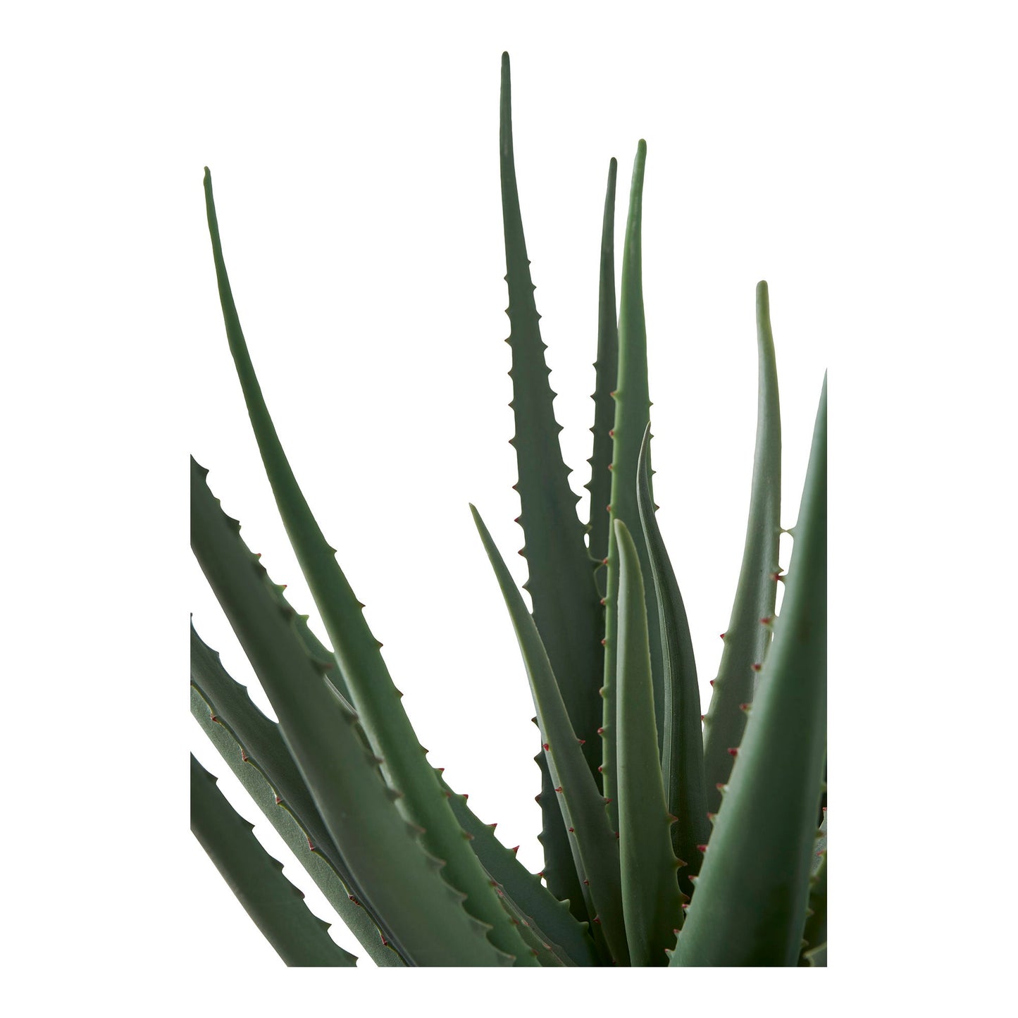 Aloe Vera - Kunstig Plante, Grøn H:51 Cm ⎮ 5713917033317 ⎮ 9501001