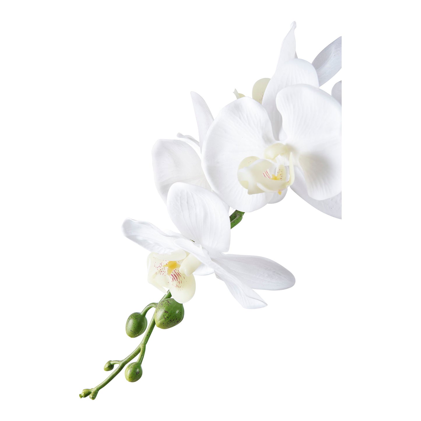 Orkidé - Kunstig Plante, Grøn/Hivd H:49 Cm ⎮ 5713917033300 ⎮ 9501003