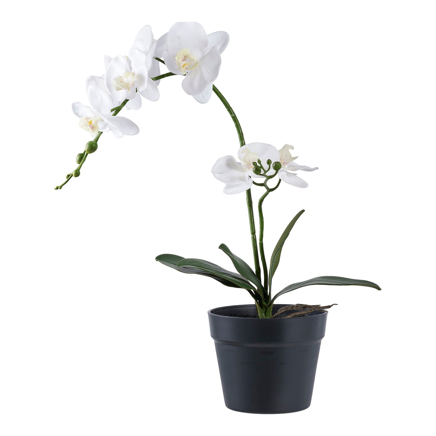 Orkidé - Kunstig Plante, Grøn/Hivd H:49 Cm ⎮ 5713917033300 ⎮ 9501003