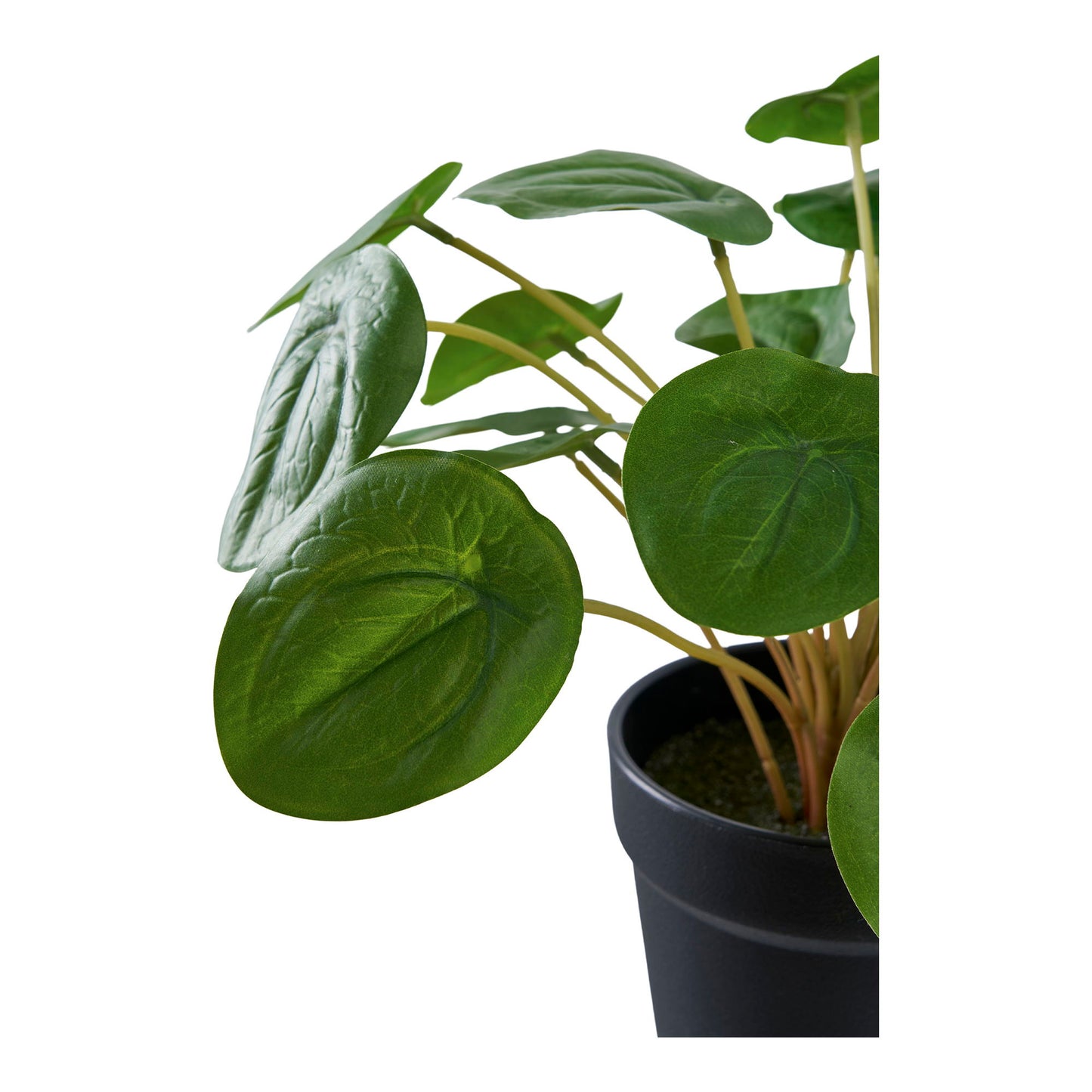 Pelia - Kunstig Plante, Grøn H:28 Cm ⎮ 5713917033348 ⎮ 9501005