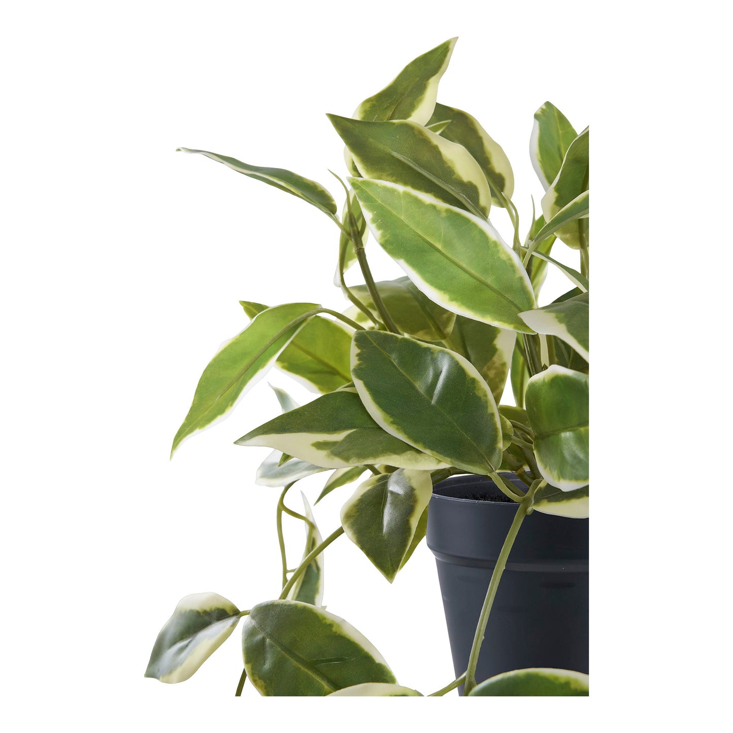 Voksblomst - Kunstig Plante, Grøn H:33 Cm ⎮ 5713917033355 ⎮ 9501006