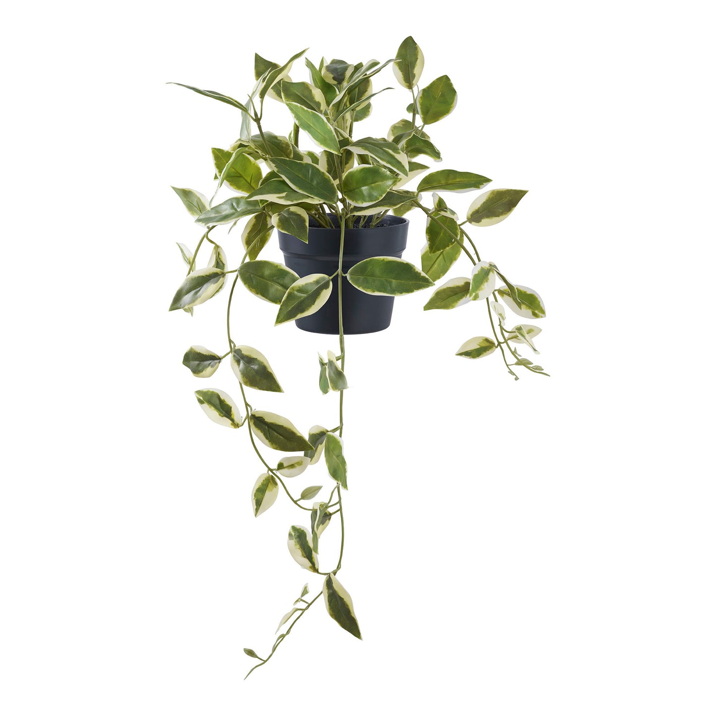 Voksblomst - Kunstig Plante, Grøn H:33 Cm ⎮ 5713917033355 ⎮ 9501006