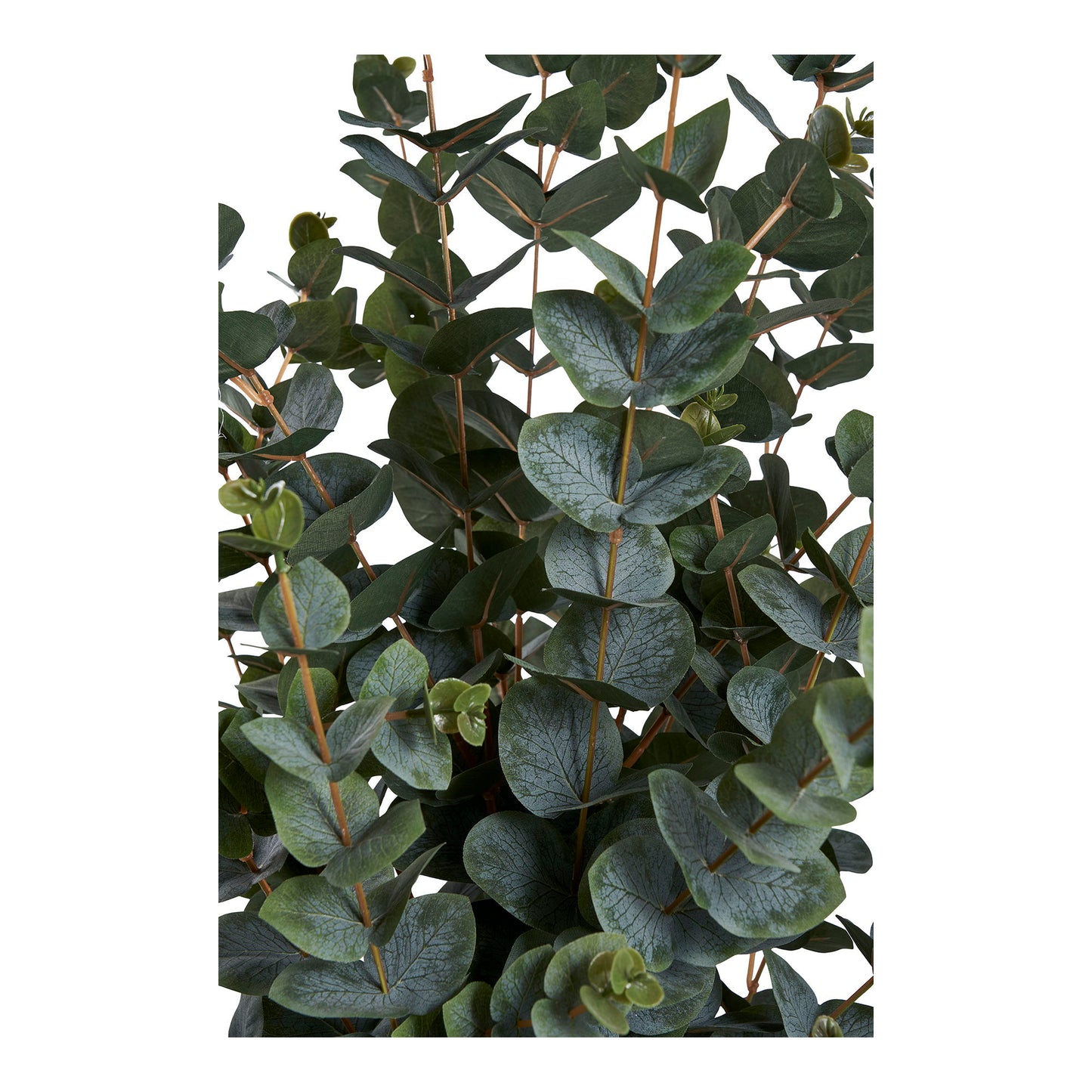 Eukalyptus Træ - Kunstig Plante, Grøn H:120 Cm ⎮ 5713917031368 ⎮ 9501015