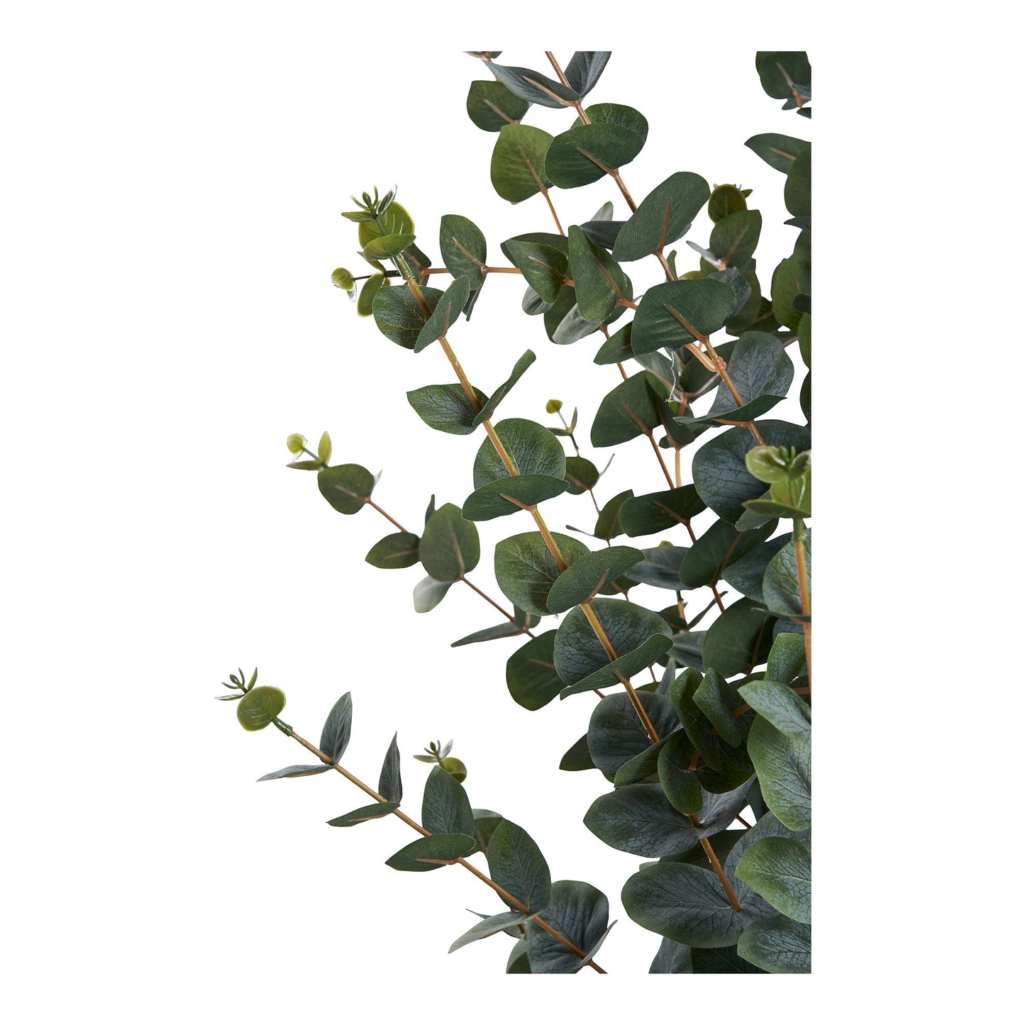 Eukalyptus Træ - Kunstig Plante, Grøn H:120 Cm ⎮ 5713917031368 ⎮ 9501015