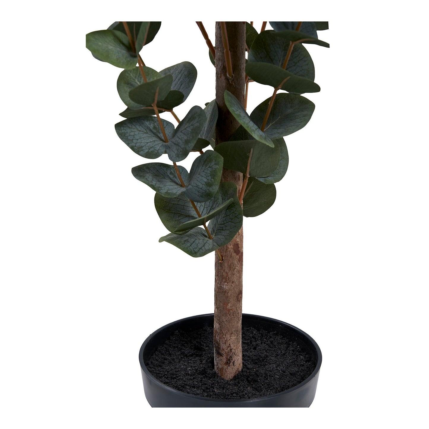 Eukalyptus Træ - Kunstig Plante, Grøn H:120 Cm ⎮ 5713917031368 ⎮ 9501015