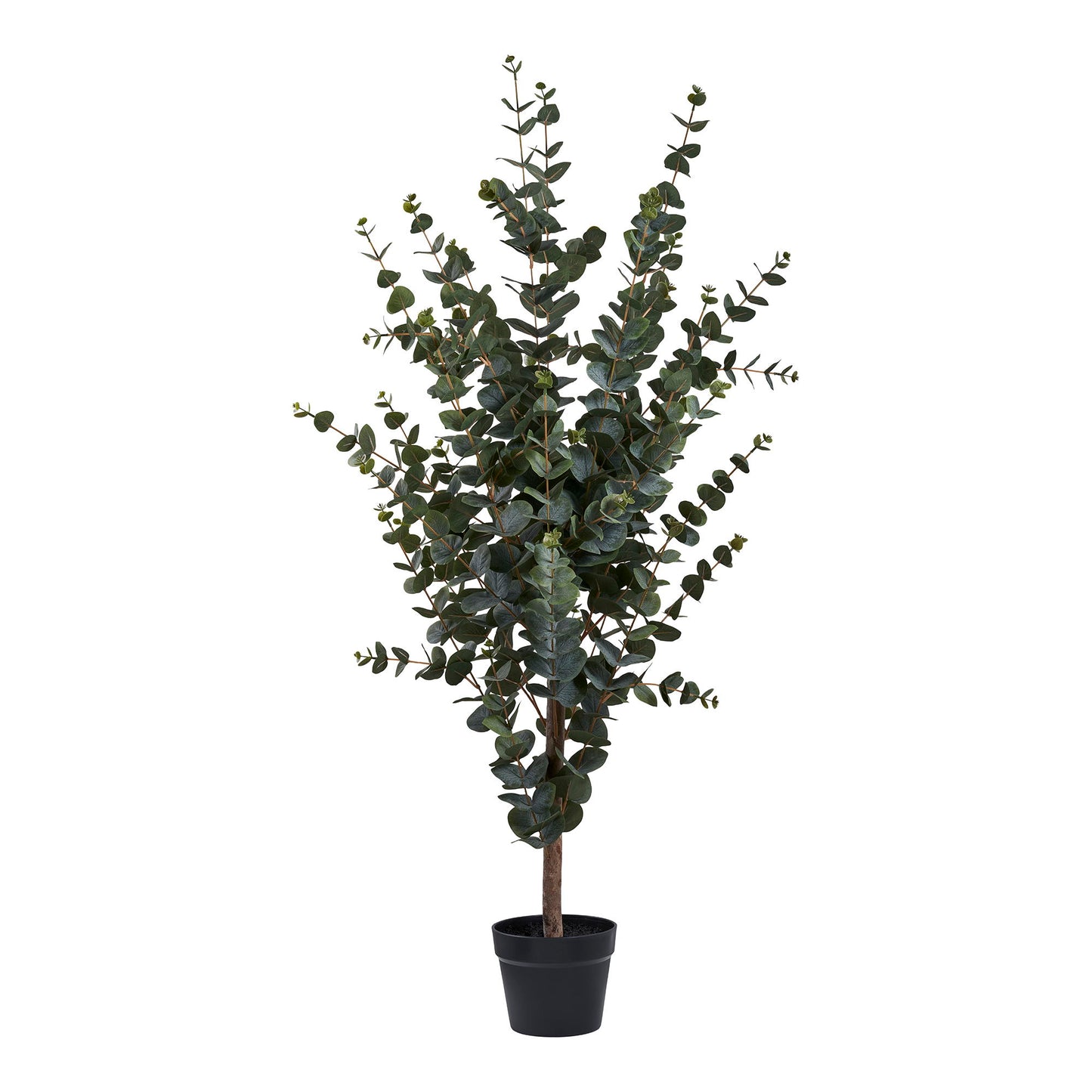 Eukalyptus Træ - Kunstig Plante, Grøn H:120 Cm ⎮ 5713917031368 ⎮ 9501015