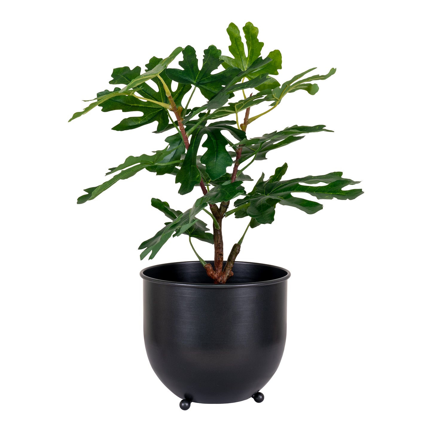 Figentræ - Kunstig Plante, Grøn H:60 Cm ⎮ 5713917022588 ⎮ 9501110