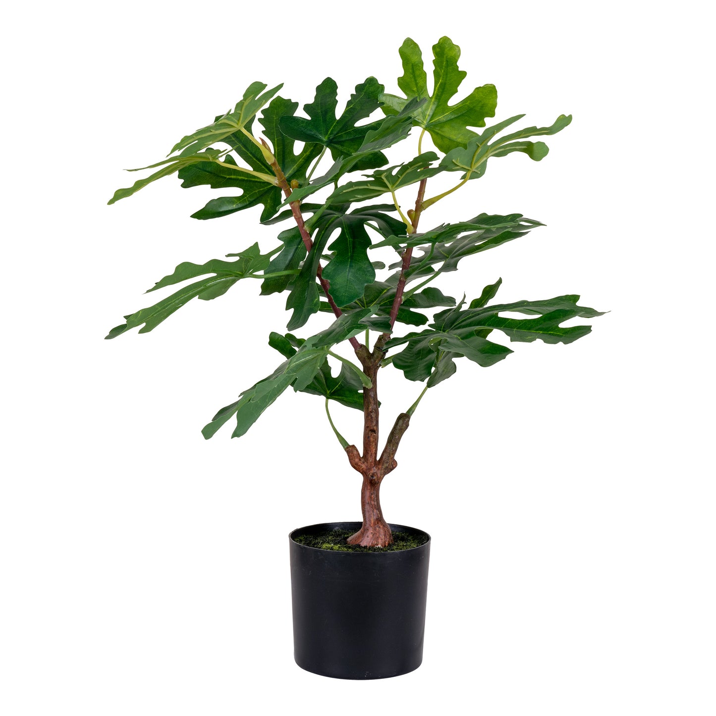 Figentræ - Kunstig Plante, Grøn H:60 Cm ⎮ 5713917022588 ⎮ 9501110