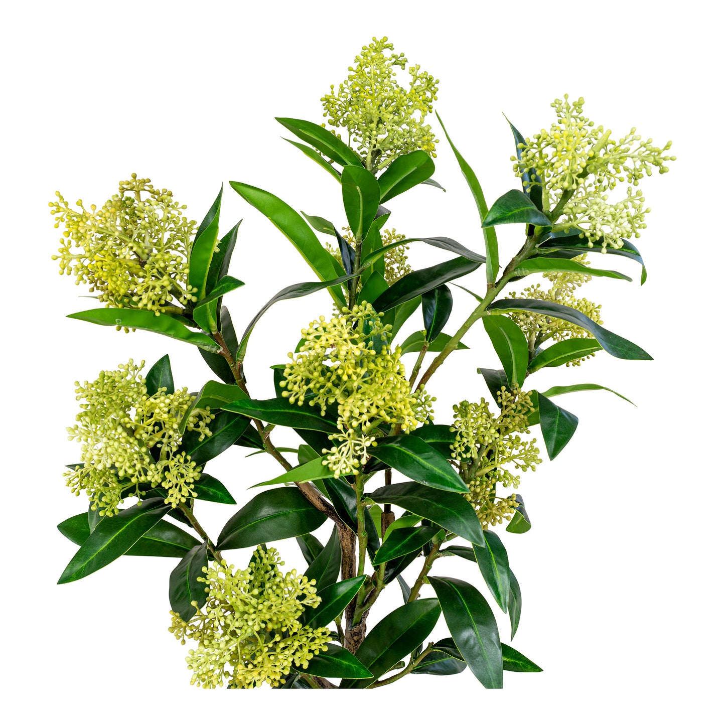 Skimmia Træ - Kunstig Plante, Grøn H:75 Cm ⎮ 5713917022595 ⎮ 9501120