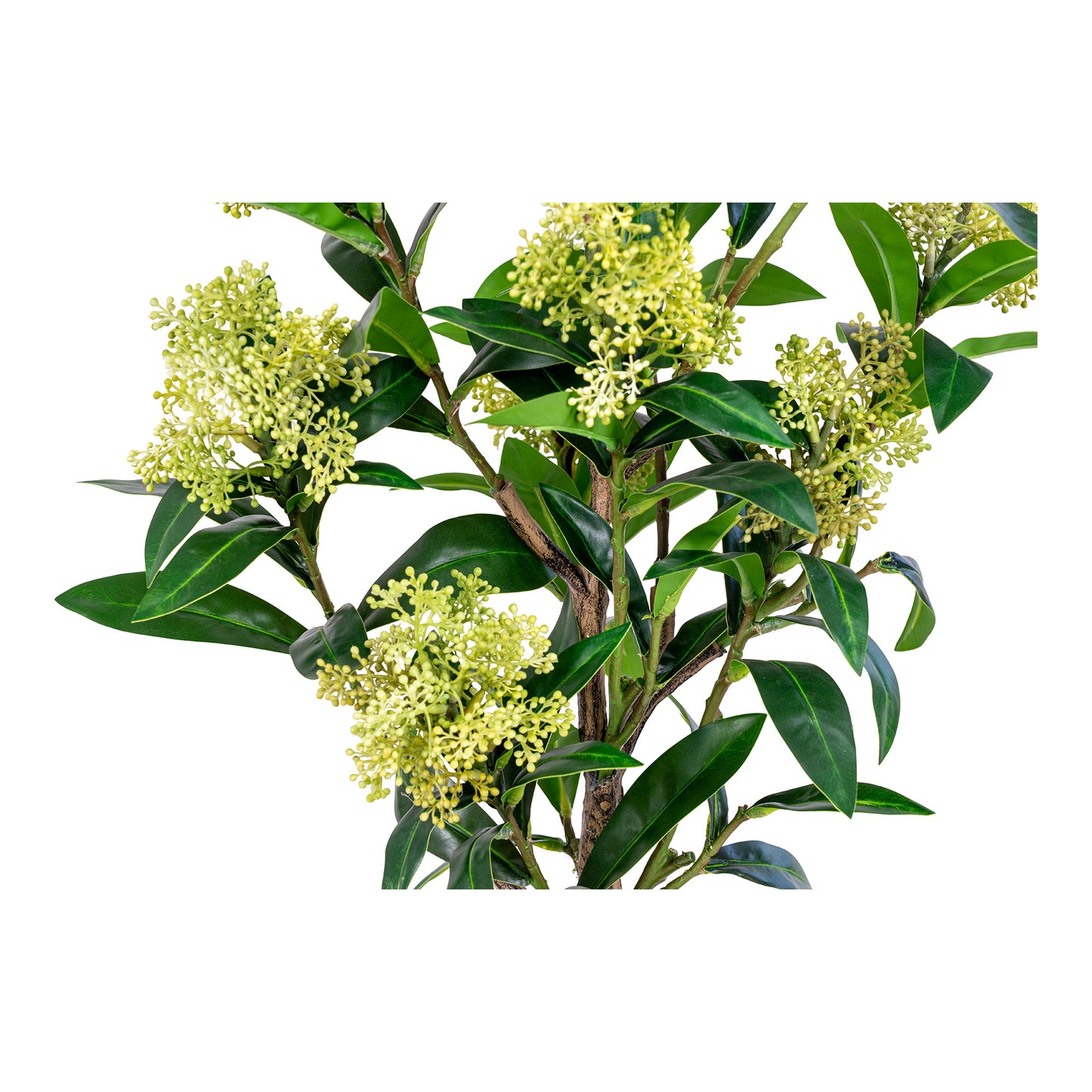 Skimmia Træ - Kunstig Plante, Grøn H:75 Cm ⎮ 5713917022595 ⎮ 9501120