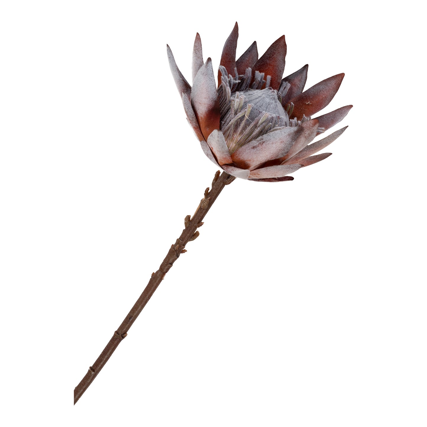 King Protea Buket - Kunstige Blomster, Rosa Mix H:74 Cm ⎮ 5713917024100 ⎮ 9501150