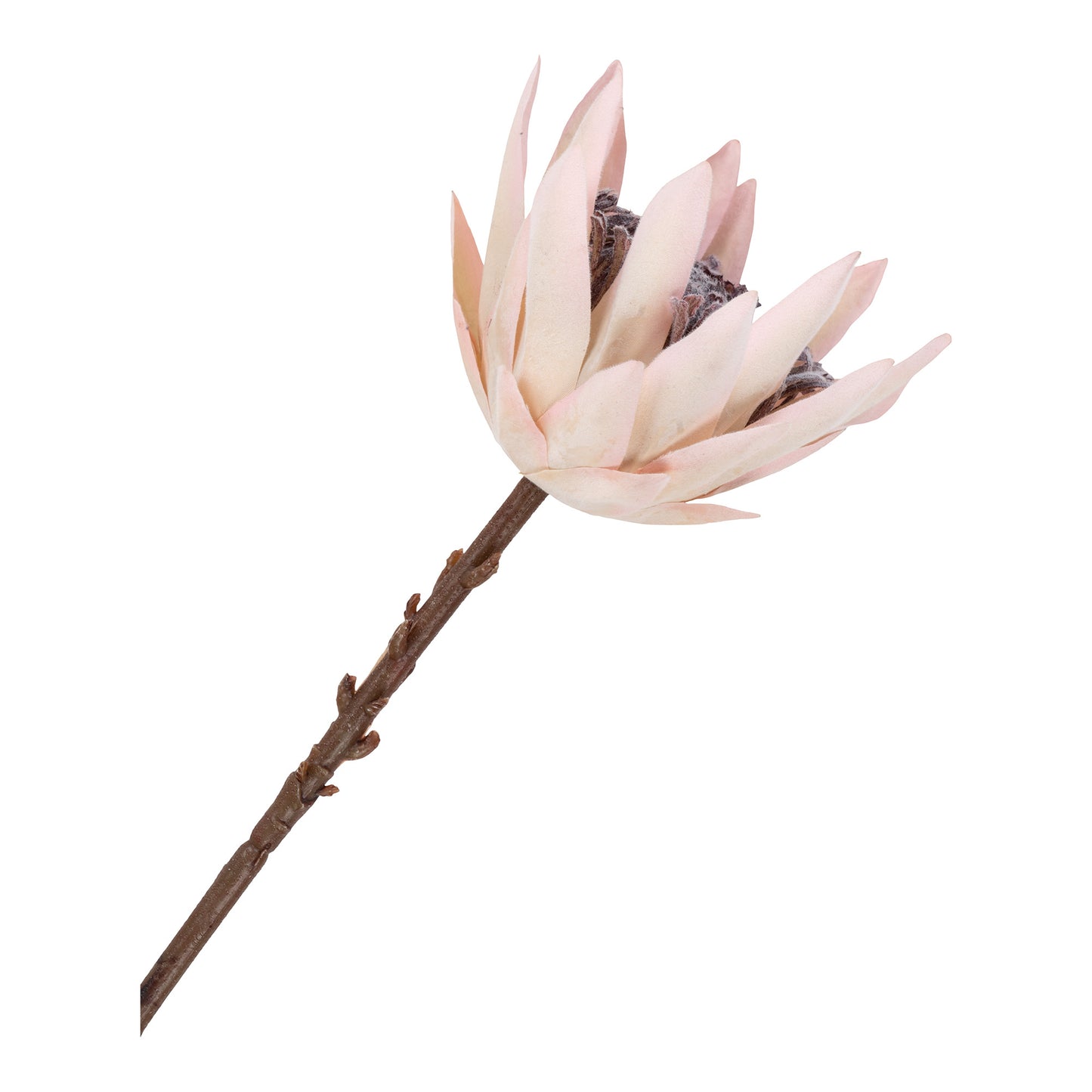 King Protea Buket - Kunstig Blomster, Bordeaux Mix H:65 Cm ⎮ 5713917024117 ⎮ 9501160