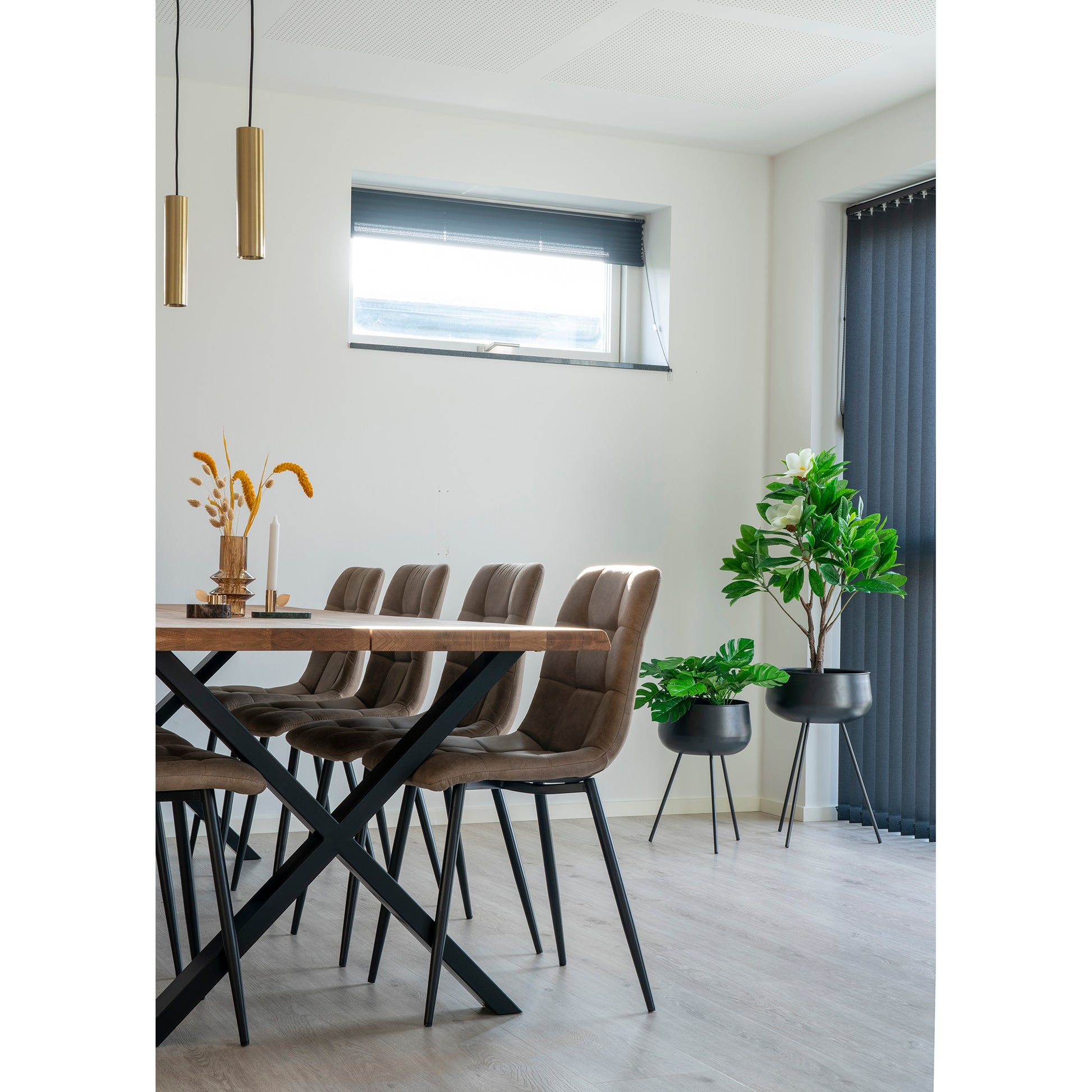 Middelfart Spisebordsstol - Spisebordsstol, Microfiber, Lysebrun, Sorte Ben, Hn1281 ⎮ Sæt af 2 stk. ⎮ 5713917000425 ⎮ 1001190 