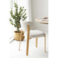 Savina Spisebordsstol - Spisebordsstol, Sand, Trælook Ben, Natur Hn1422 ⎮ Sæt af 2 stk. ⎮ 5713917044375 ⎮ 1001485 