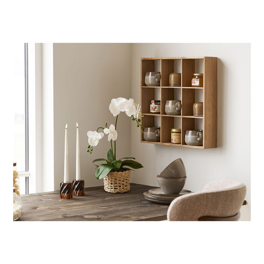 https://cdn.shopify.com/s/files/1/0672/7680/0322/files/No-Image-Placeholder.png?v=1669444344