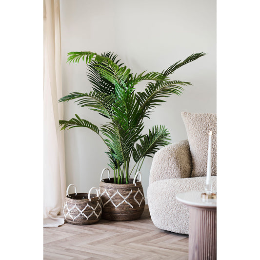 https://cdn.shopify.com/s/files/1/0672/7680/0322/files/No-Image-Placeholder.png?v=1669444344