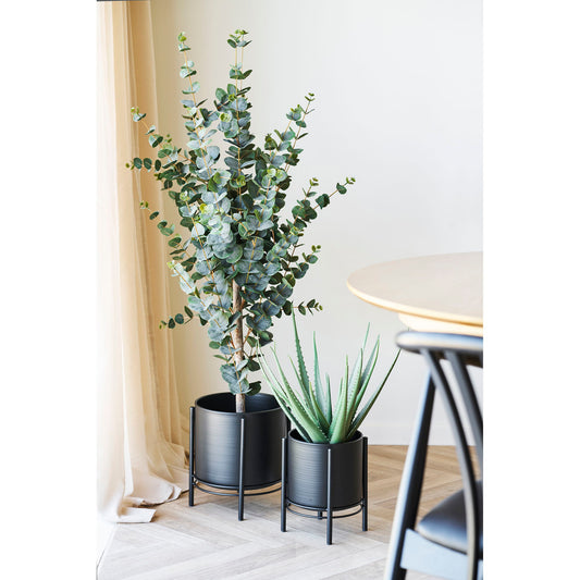 https://cdn.shopify.com/s/files/1/0672/7680/0322/files/No-Image-Placeholder.png?v=1669444344
