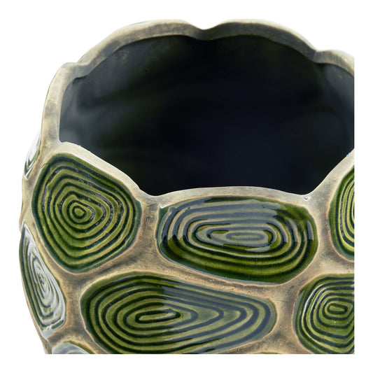 https://cdn.shopify.com/s/files/1/0672/7680/0322/files/No-Image-Placeholder.png?v=1669444344