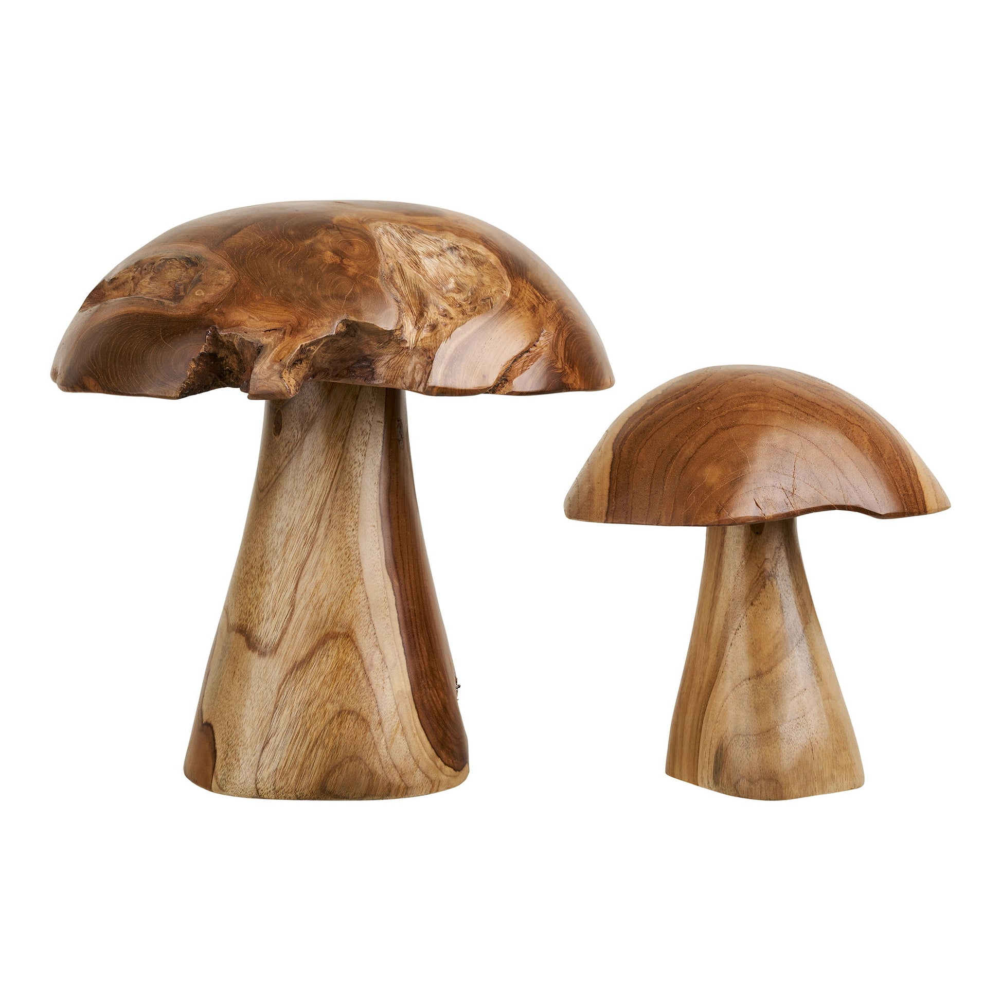Kodi Dekorations Svampe - Dekorations Svampe, Teak, Natur, Sæt Af 2 ⎮ 5713917041268 ⎮ 4501180 