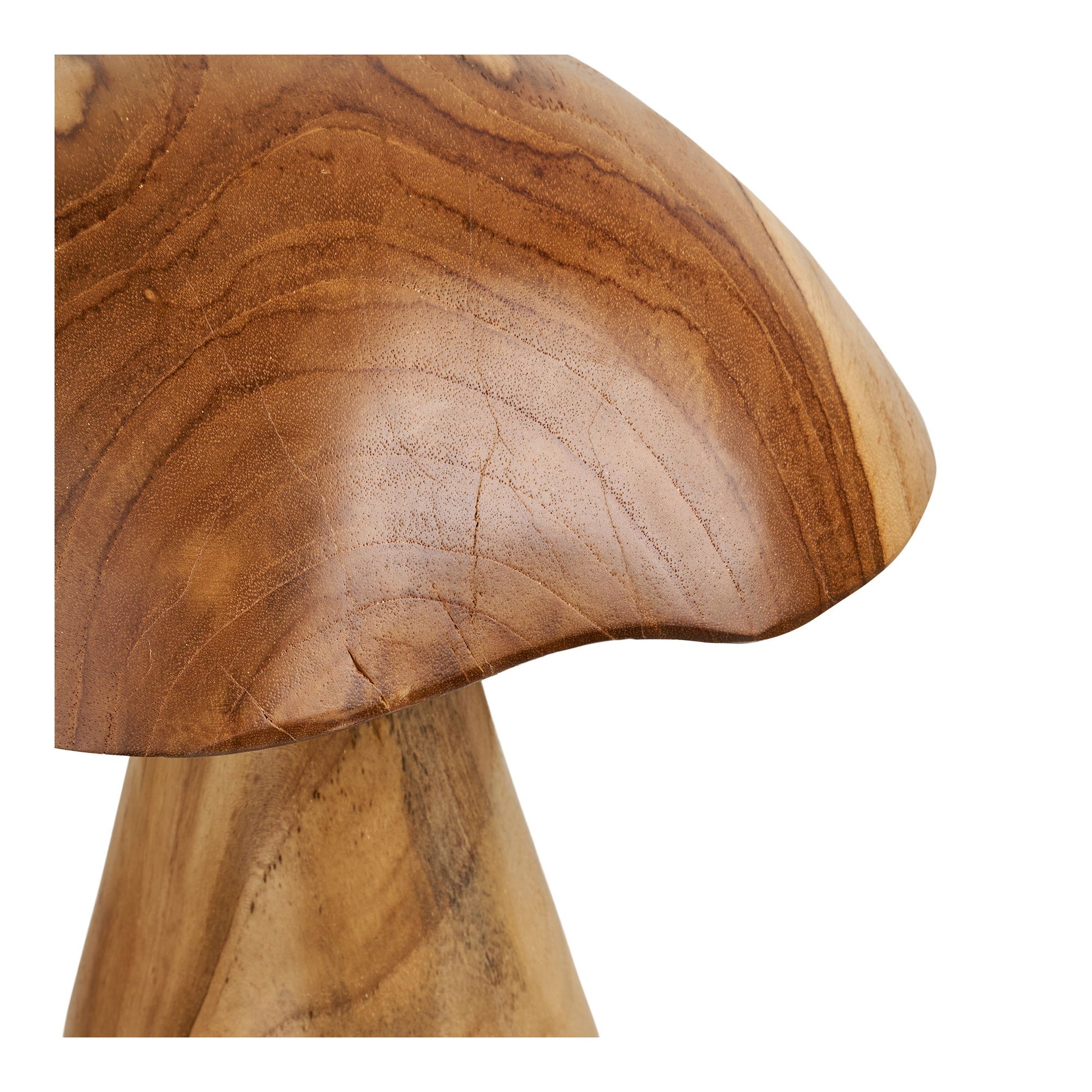 Kodi Dekorations Svampe - Dekorations Svampe, Teak, Natur, Sæt Af 2 ⎮ 5713917041268 ⎮ 4501180 