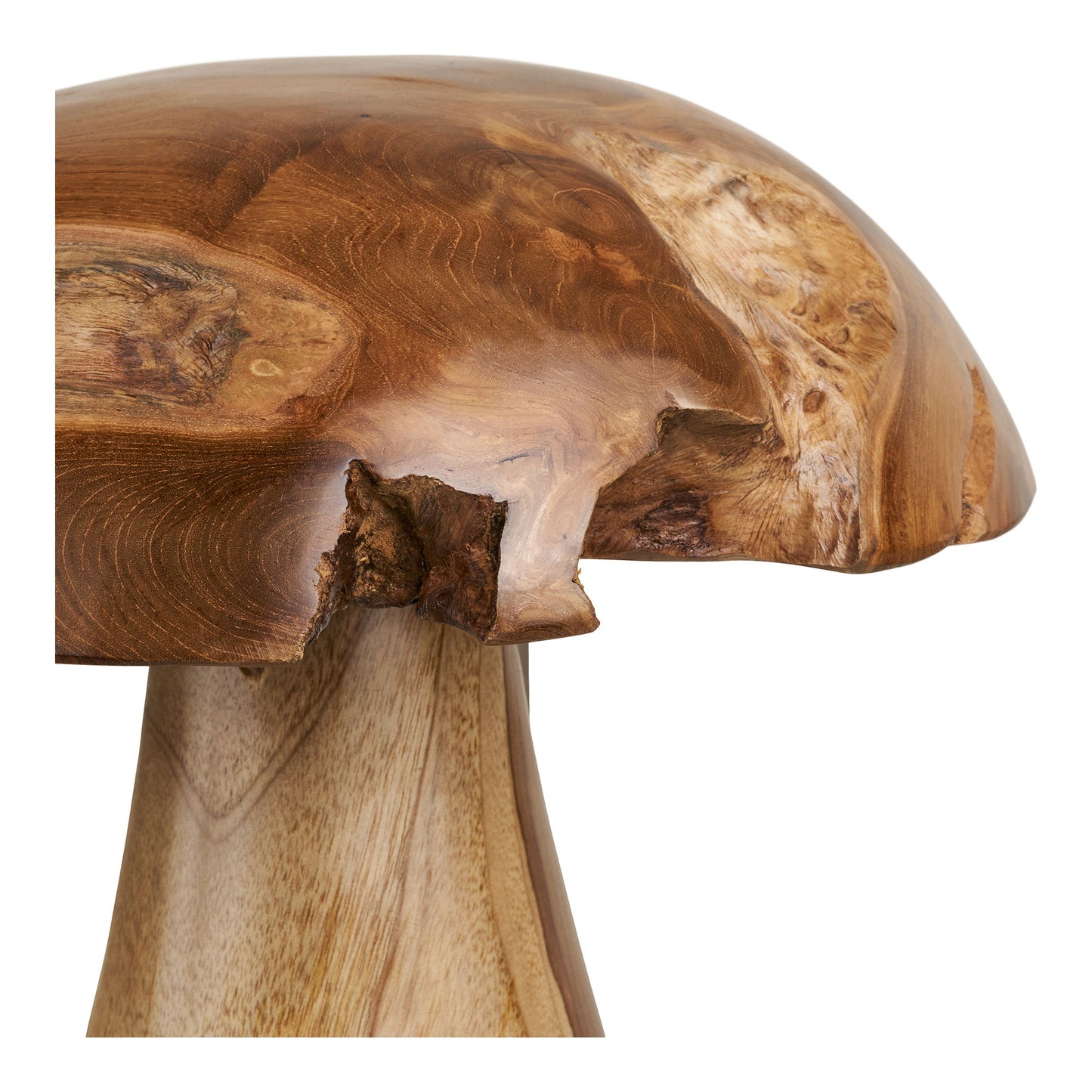 Kodi Dekorations Svampe - Dekorations Svampe, Teak, Natur, Sæt Af 2 ⎮ 5713917041268 ⎮ 4501180 