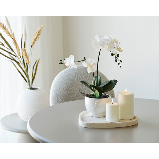 https://cdn.shopify.com/s/files/1/0672/7680/0322/files/No-Image-Placeholder.png?v=1669444344