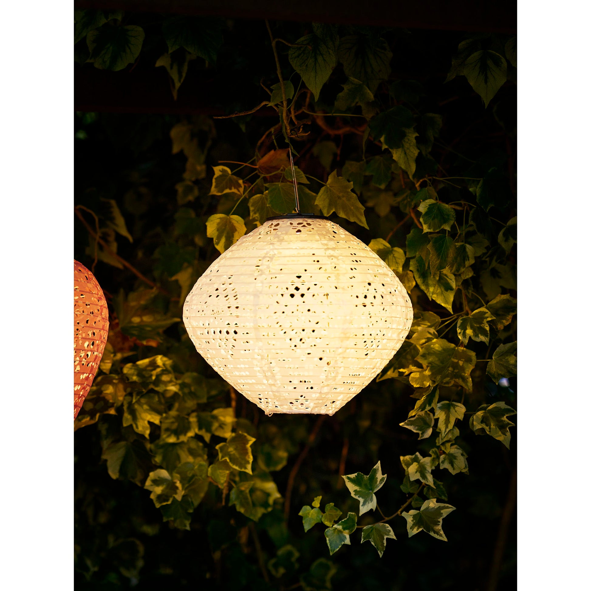Harwood Led Lanterne - Lanterne, Genopladelig, Whie ⎮ 5713917035328 ⎮ 6405112 