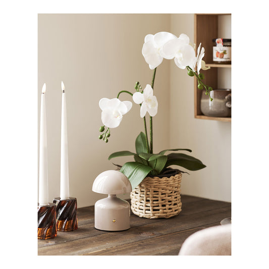 https://cdn.shopify.com/s/files/1/0672/7680/0322/files/No-Image-Placeholder.png?v=1669444344