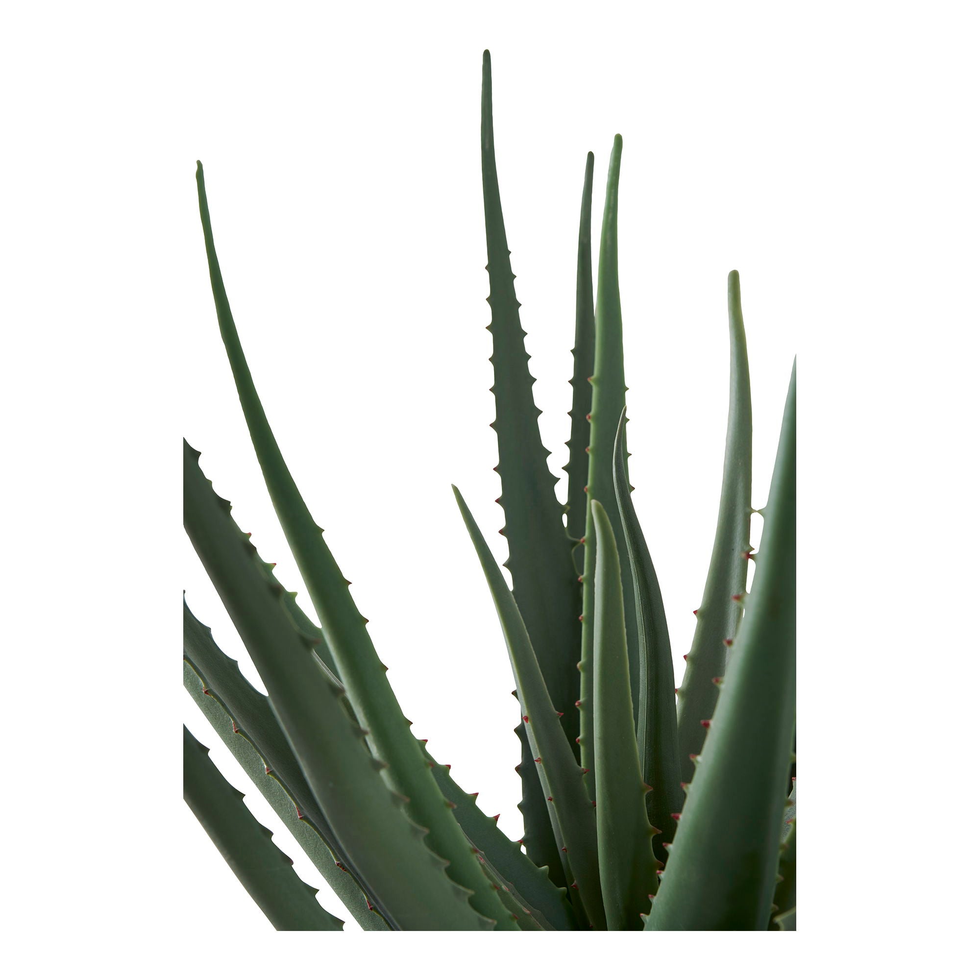 Aloe Vera - Kunstig Plante, Grøn H:51 Cm ⎮ 5713917033317 ⎮ 9501001 