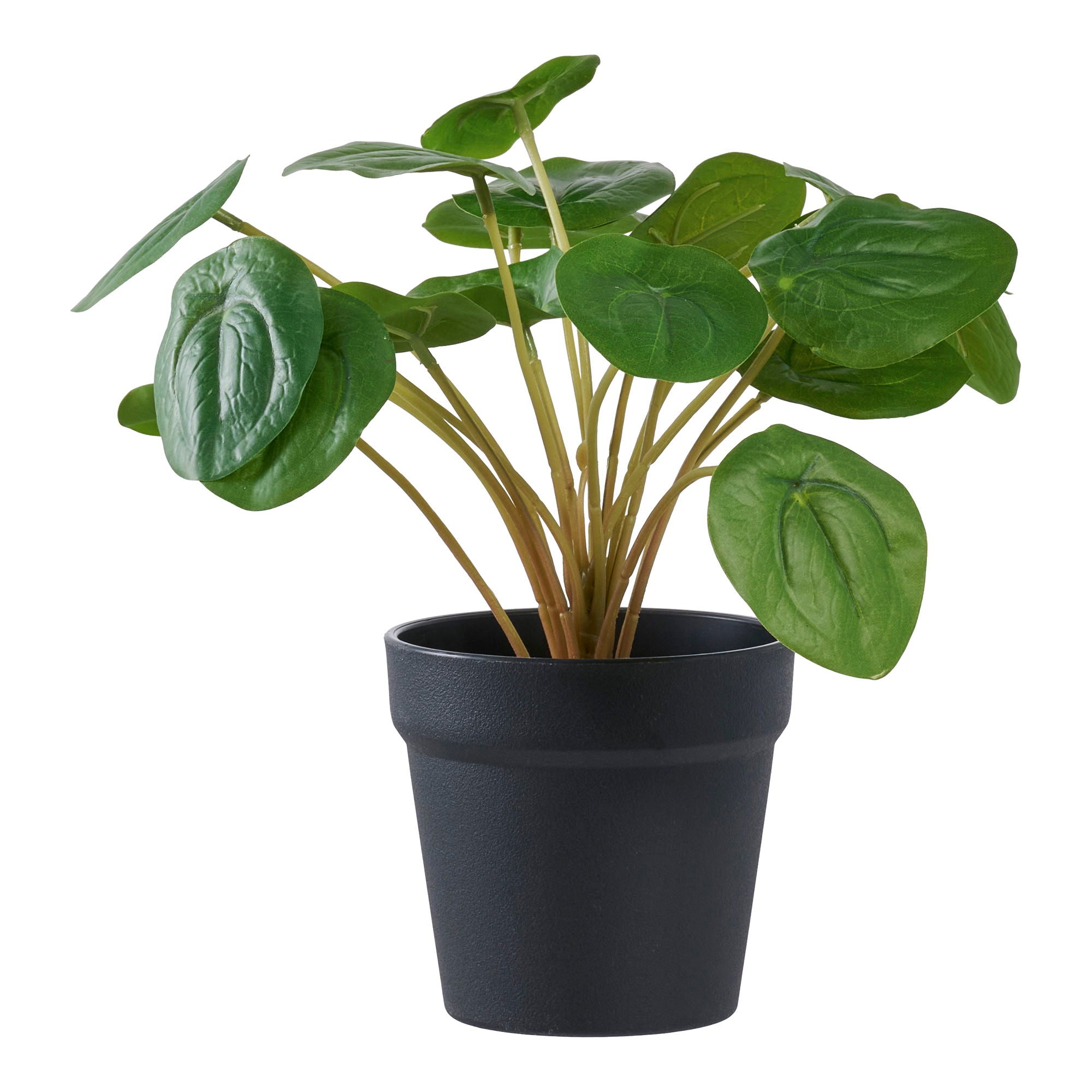 Pelia - Kunstig Plante, Grøn H:28 Cm ⎮ 5713917033348 ⎮ 9501005 