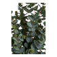 Eukalyptus Træ - Kunstig Plante, Grøn H:120 Cm ⎮ 5713917031368 ⎮ 9501015 