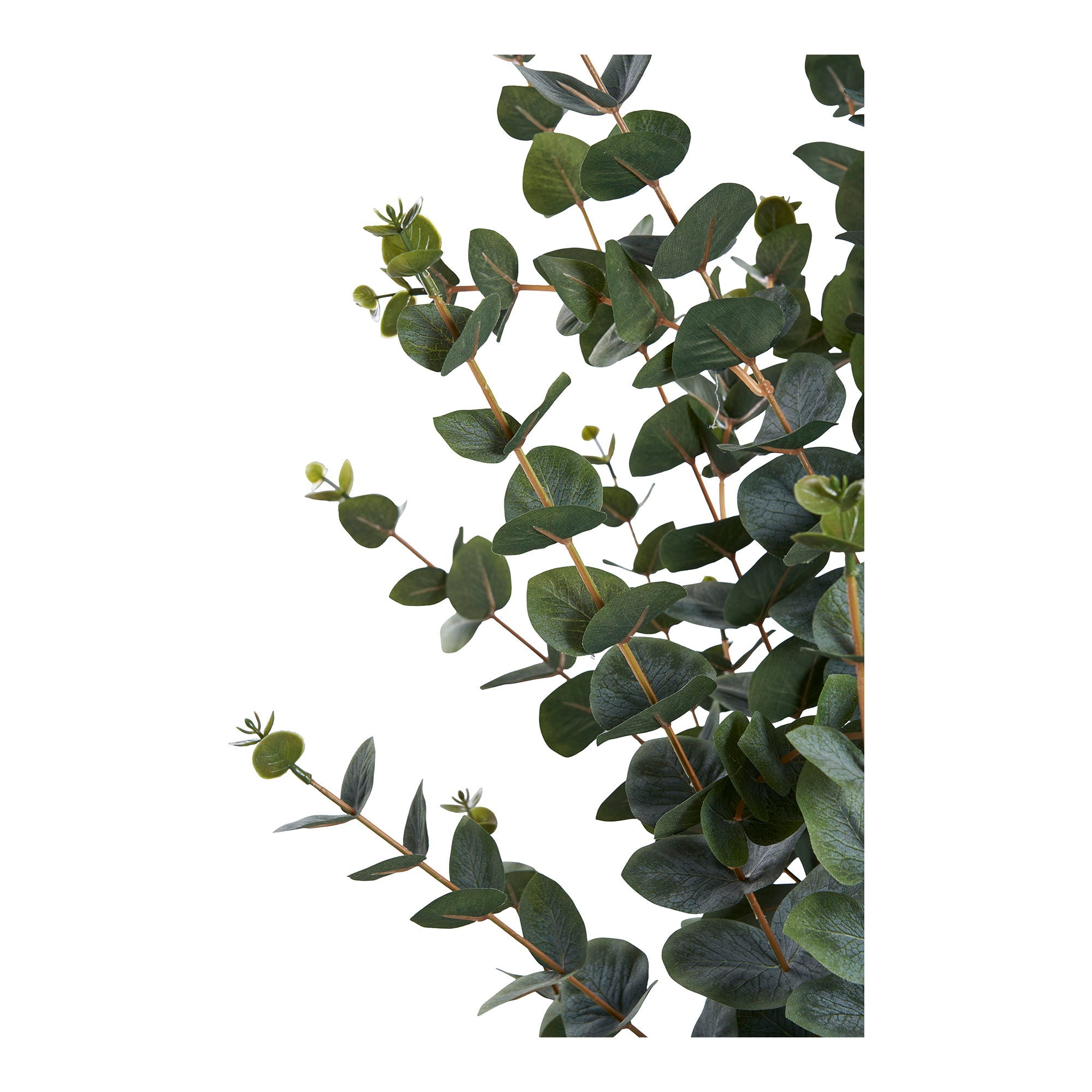 Eukalyptus Træ - Kunstig Plante, Grøn H:120 Cm ⎮ 5713917031368 ⎮ 9501015 