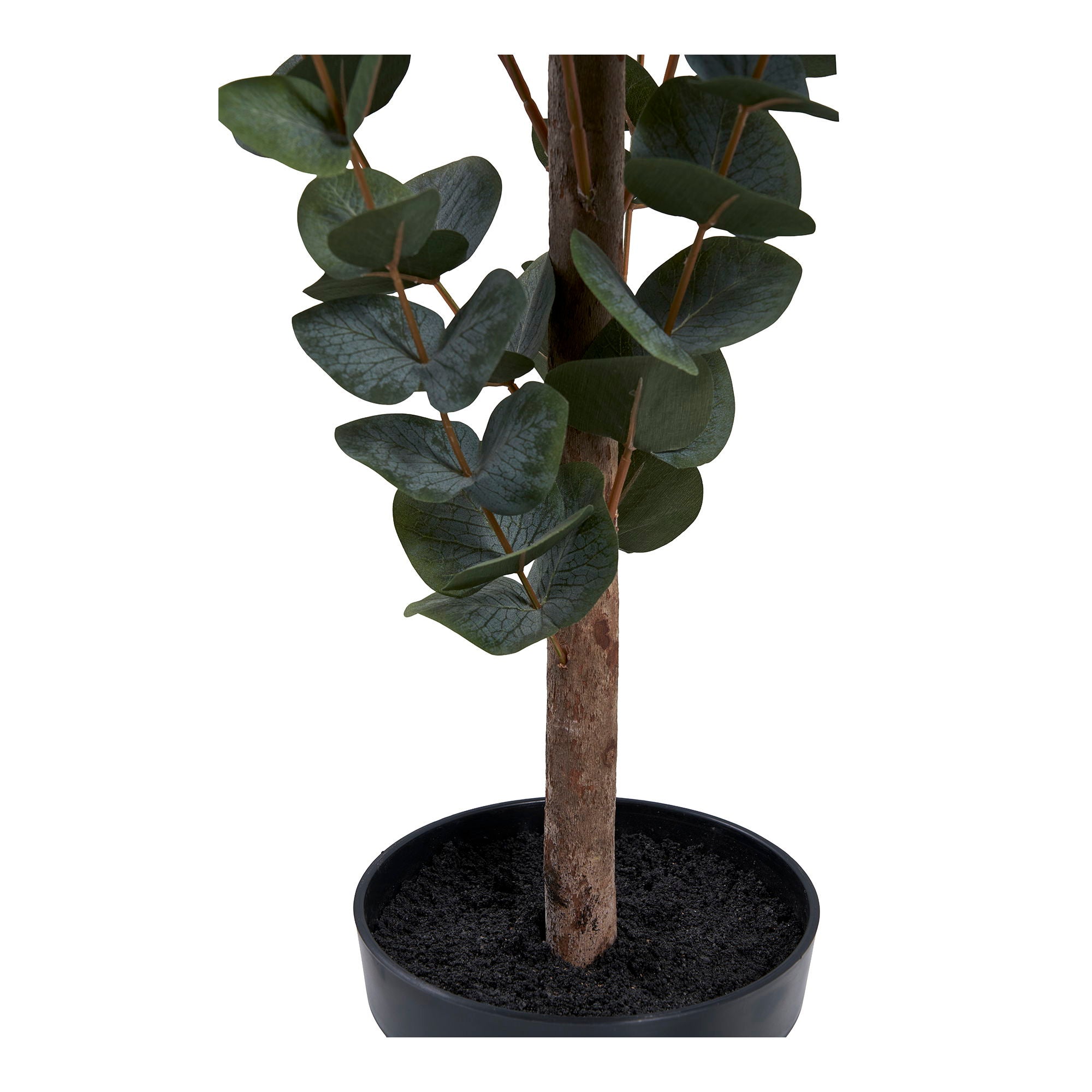 Eukalyptus Træ - Kunstig Plante, Grøn H:120 Cm ⎮ 5713917031368 ⎮ 9501015 