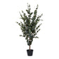 Eukalyptus Træ - Kunstig Plante, Grøn H:120 Cm ⎮ 5713917031368 ⎮ 9501015 