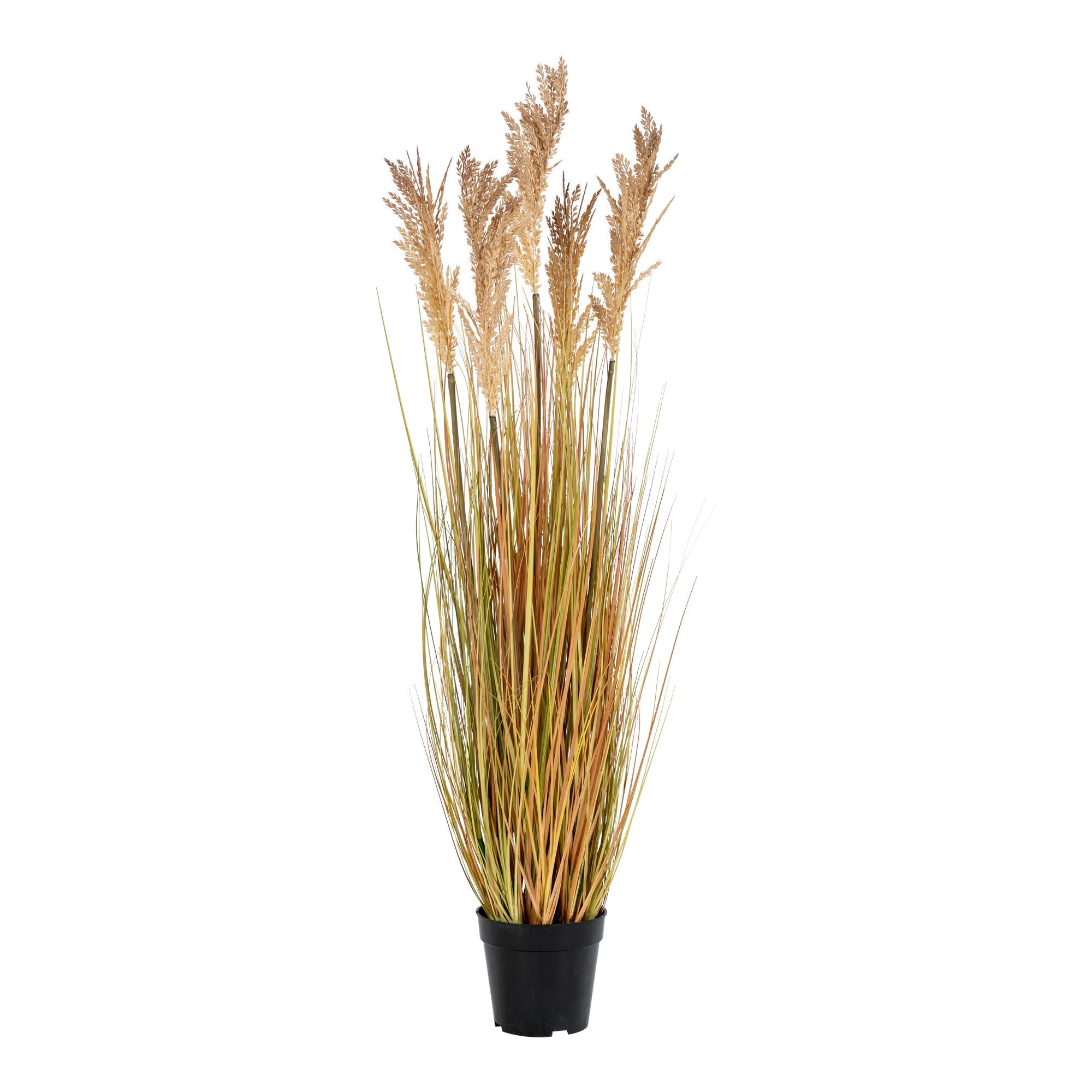 Sorghum Grass - Kunstig Plante, Natur, 110 Cm ⎮ 5713917008766 ⎮ 9501070 