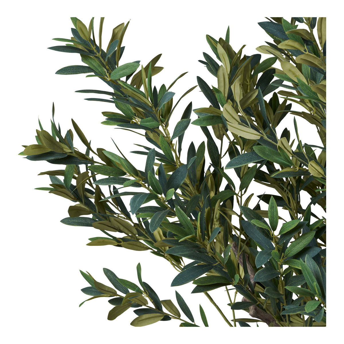 Oliventræ - Kunstig Plante, Grøn H:220 Cm ⎮ 5713917045228 ⎮ 9501095 