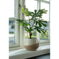 Figentræ - Kunstig Plante, Grøn H:60 Cm ⎮ 5713917022588 ⎮ 9501110 