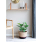 Figentræ - Kunstig Plante, Grøn H:60 Cm ⎮ 5713917022588 ⎮ 9501110 