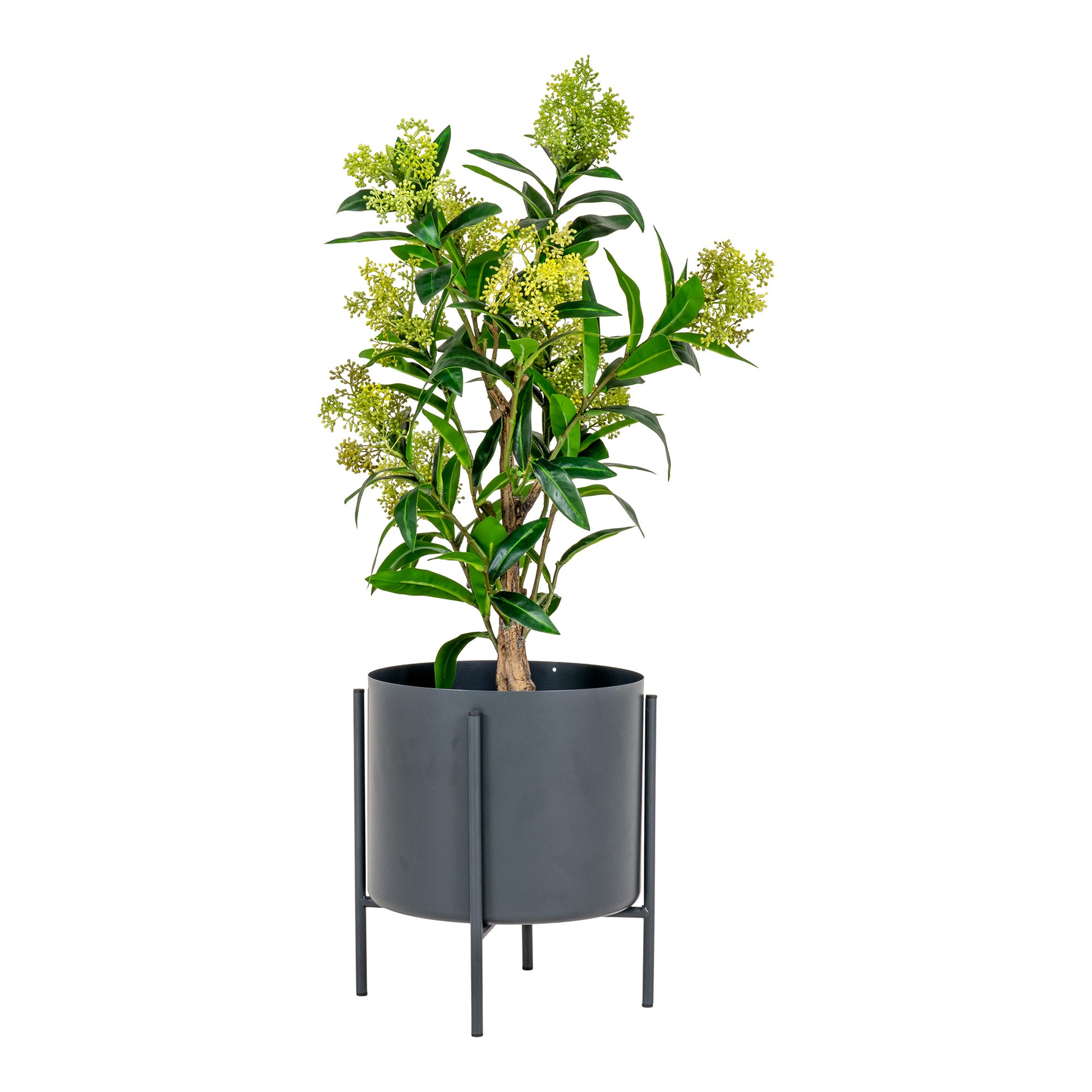 Skimmia Træ  - Kunstig Plante, Grøn H:75 Cm ⎮ 5713917022595 ⎮ 9501120 