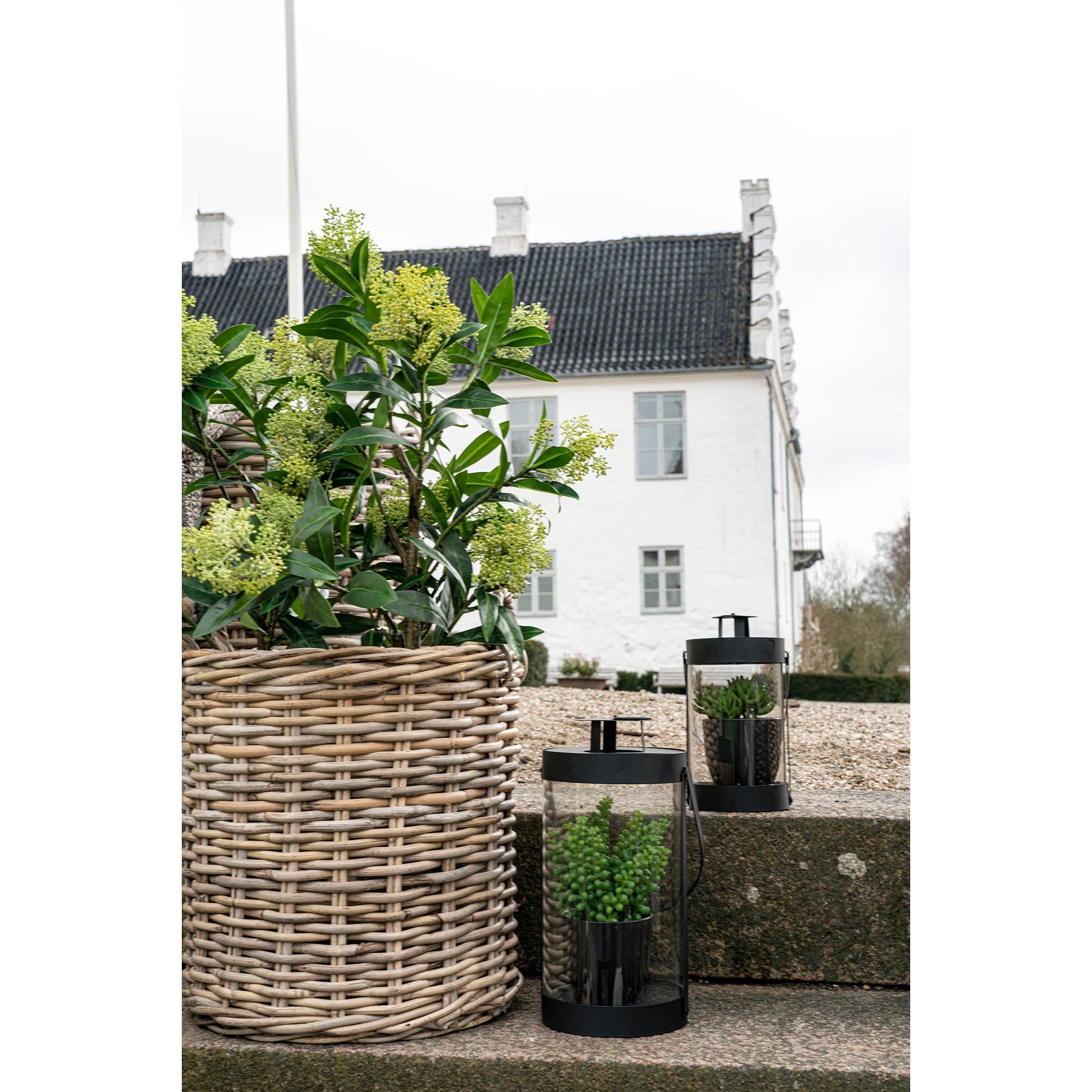 Skimmia Træ  - Kunstig Plante, Grøn H:75 Cm ⎮ 5713917022595 ⎮ 9501120 