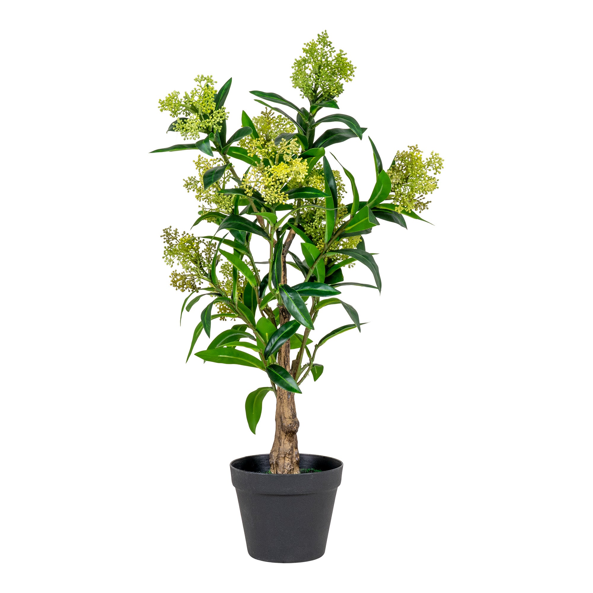 Skimmia Træ  - Kunstig Plante, Grøn H:75 Cm ⎮ 5713917022595 ⎮ 9501120 