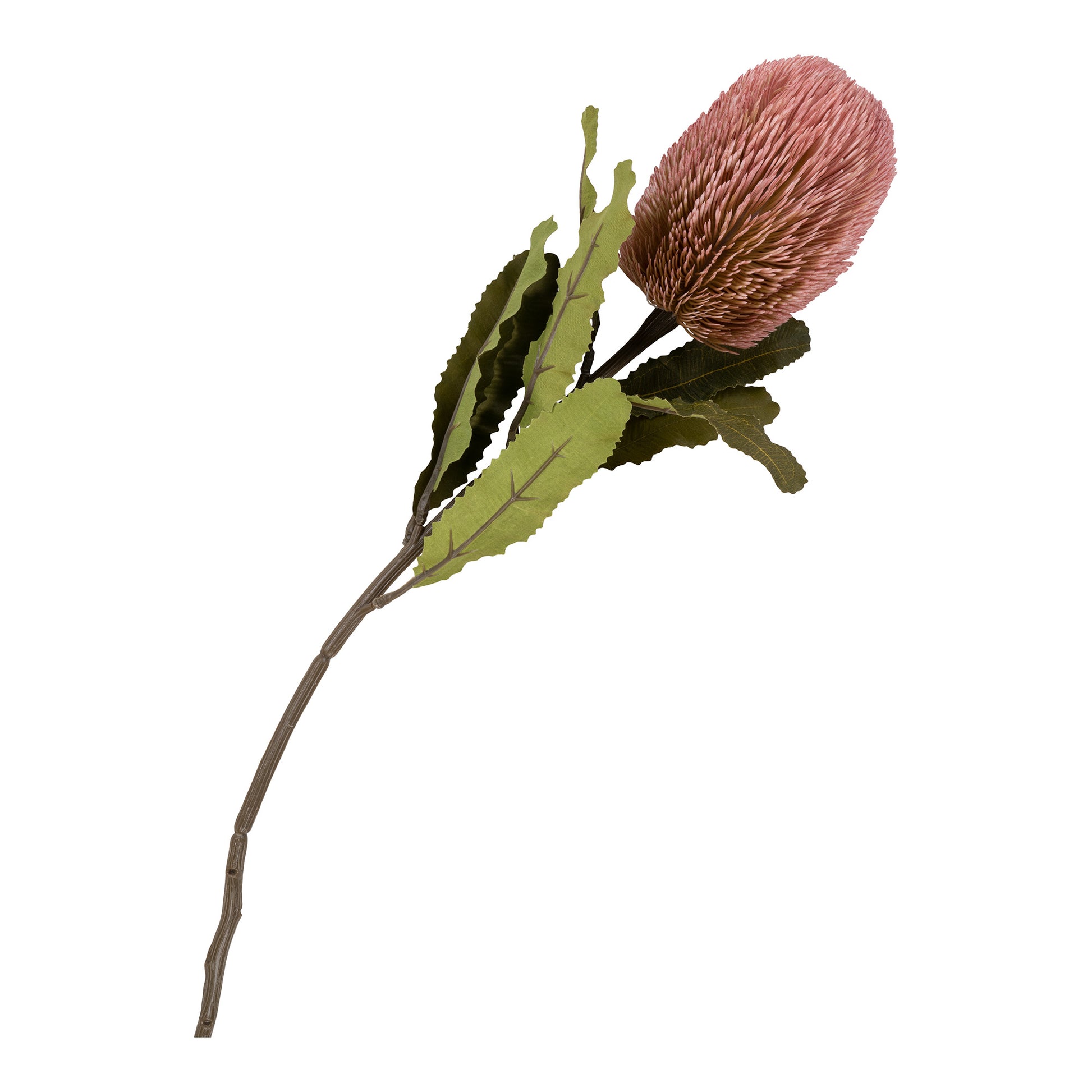 King Protea Buket - Kunstige Blomster, Rosa Mix H:74 Cm ⎮ 5713917024100 ⎮ 9501150 