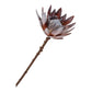 King Protea Buket - Kunstige Blomster, Rosa Mix H:74 Cm ⎮ 5713917024100 ⎮ 9501150 