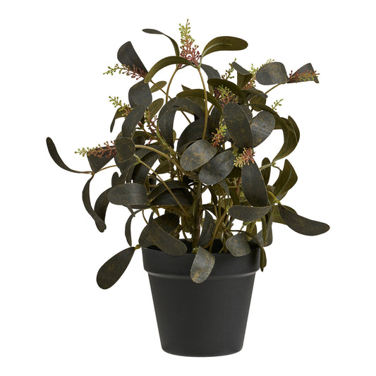 https://cdn.shopify.com/s/files/1/0672/7680/0322/files/No-Image-Placeholder.png?v=1669444344